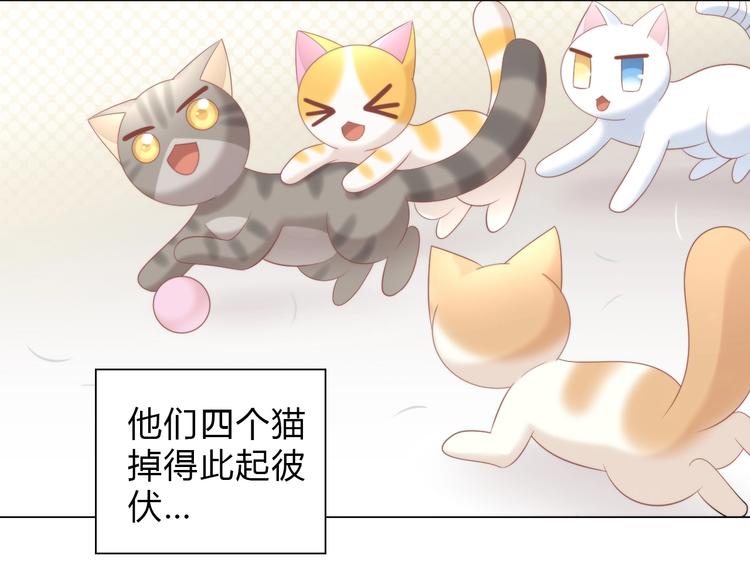 第93话 撸猫快乐成仙！12