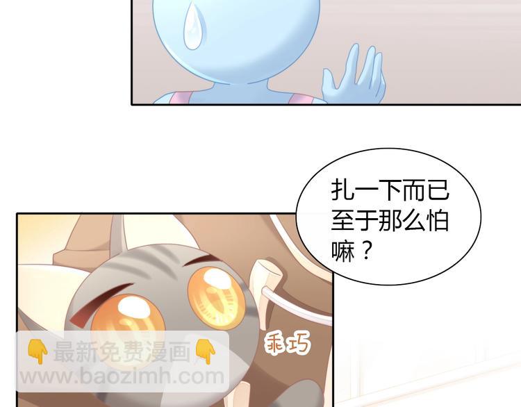 第126话 猫舍C位（二）7