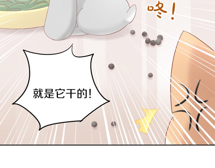 第190话 兔叽的“坏心眼”29
