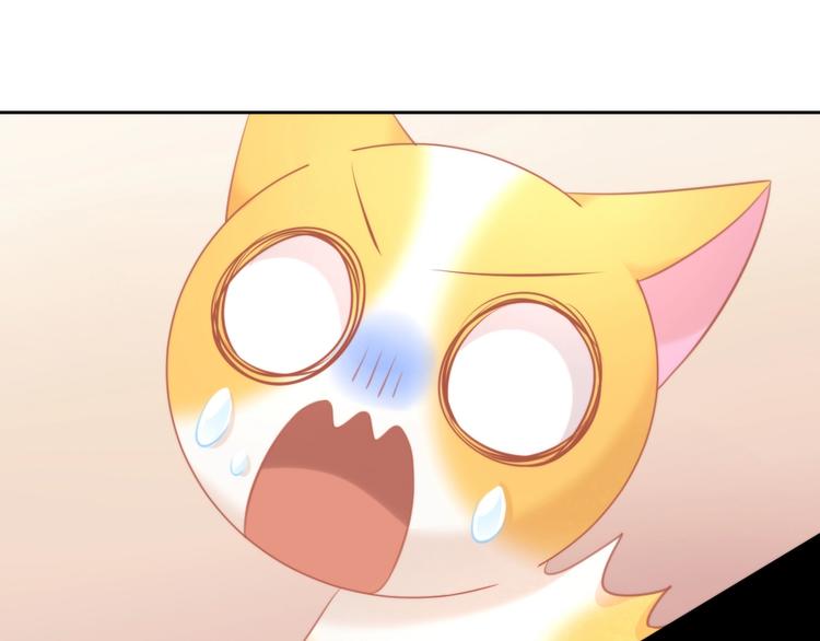 第106话 猫怕老鼠91