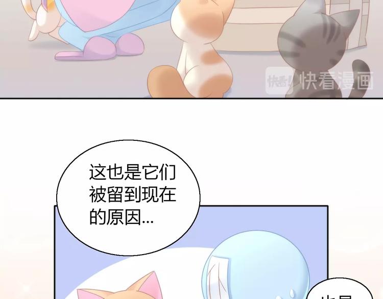 第113话 断舍离60