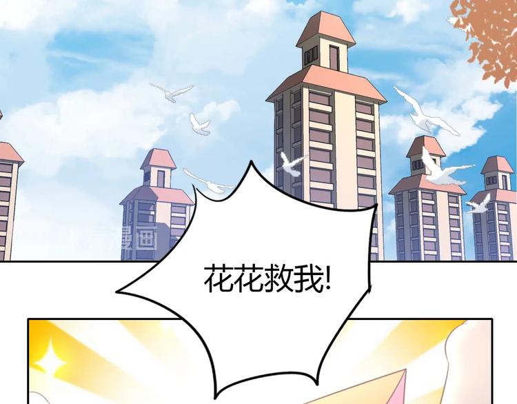 第128话 猫舍C位（四）9