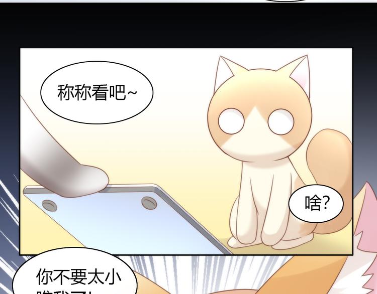 第76话 猫咪选美大赛64