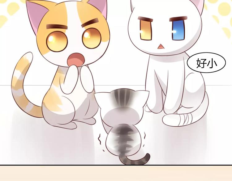 第40话 小可怜77