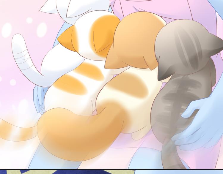 第200话 猫爪之下63