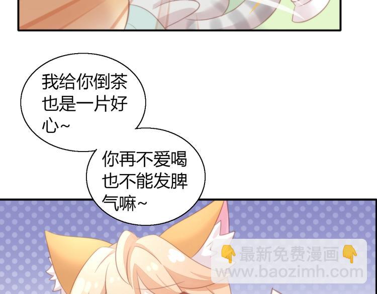 第127话 猫舍C位（三）68