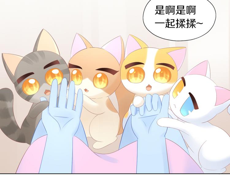 第200话 猫爪之下44