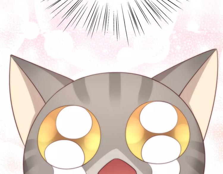 第24话 猫咪专家51