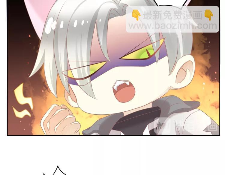 第126话 猫舍C位（二）39