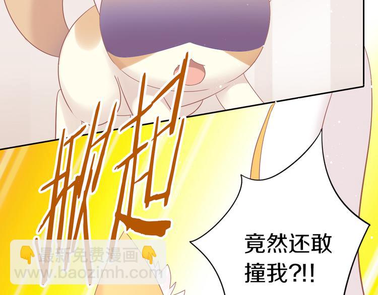 第189话 杂物堆里的它43