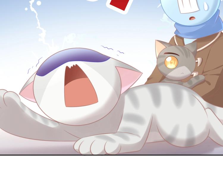 第126话 猫舍C位（二）62