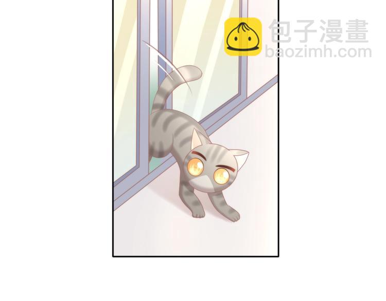 第126话 猫舍C位（二）18