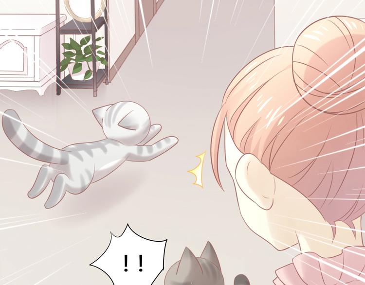 第130话 猫舍C位（六）9
