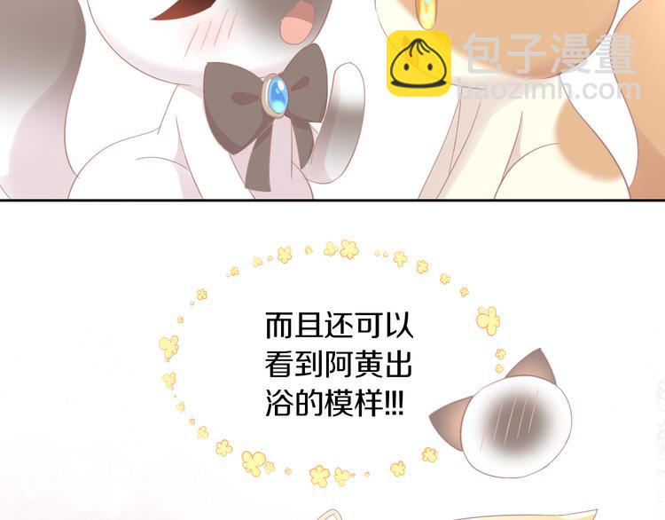 第179话 SPA28