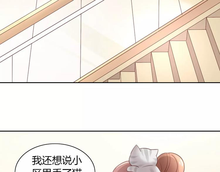 第24话 猫咪专家13