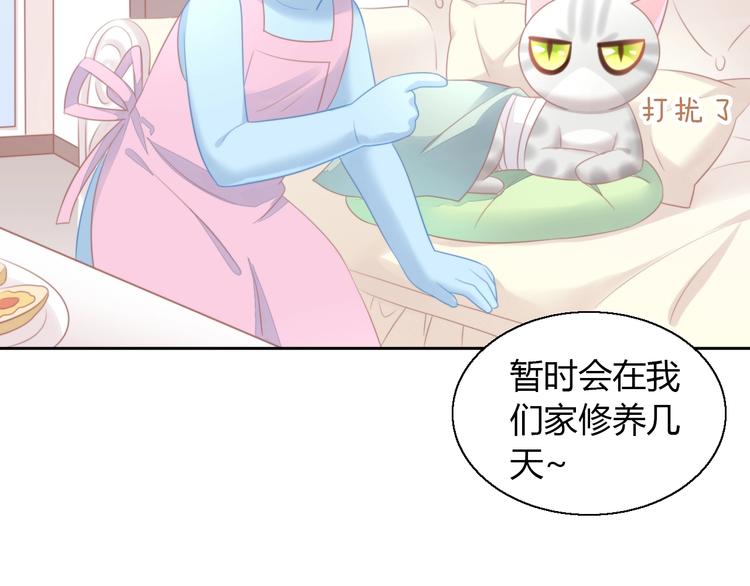 第127话 猫舍C位（三）15