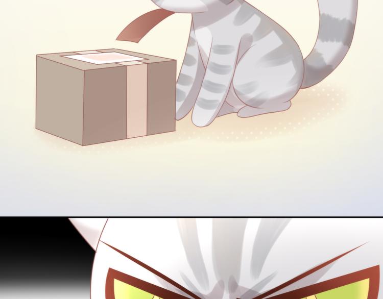 第79话 一只猫的战争53