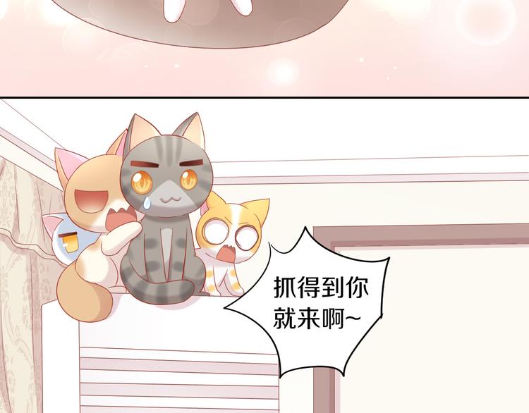第154话 夏日大作战46