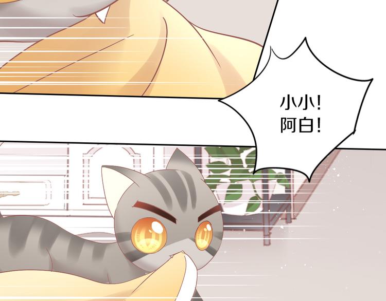 第189话 杂物堆里的它34