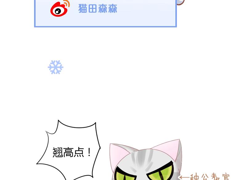 第130话 猫舍C位（六）100