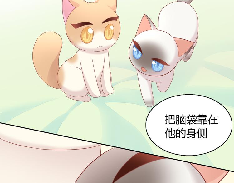 第136话 撸猫技师（四）30