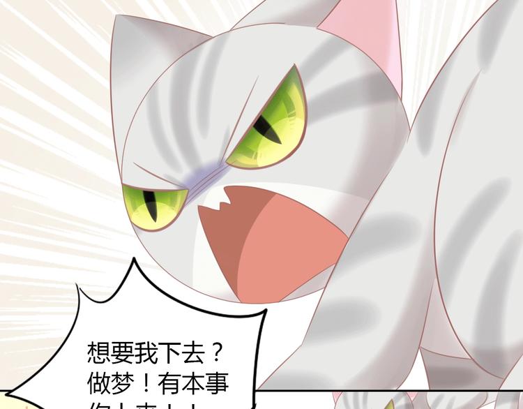 第130话 猫舍C位（六）20