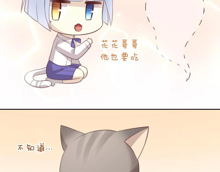 第24话 猫咪专家57