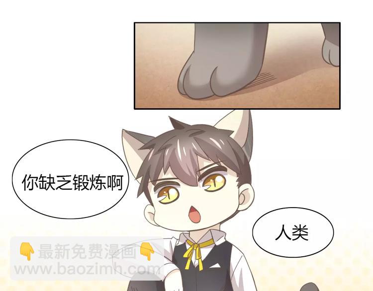第35话 猫执事（下）18