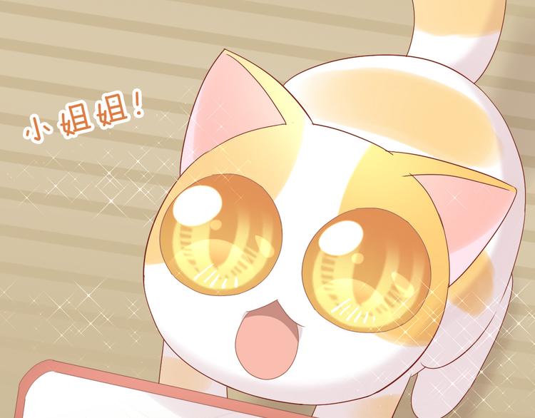 第178话 爆火视频69