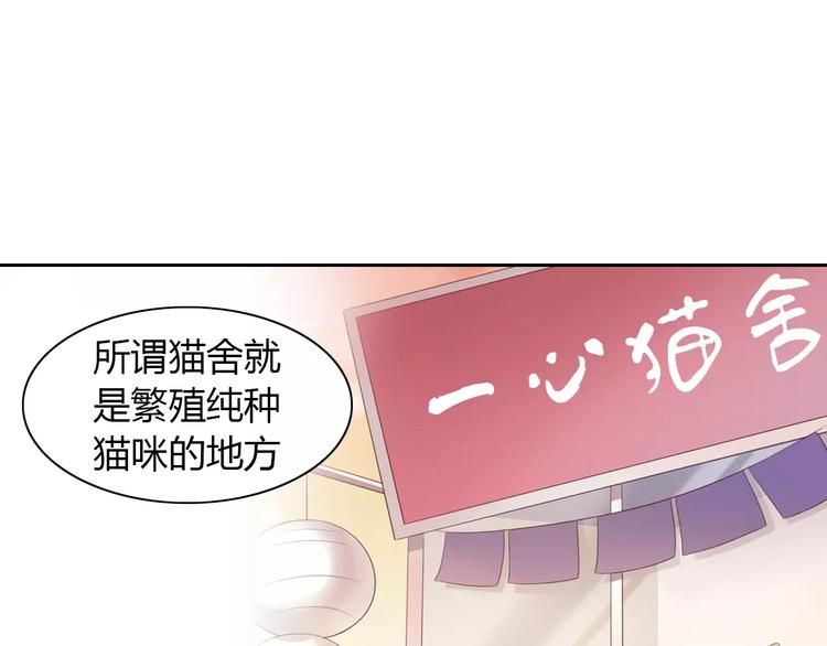 第27话 总攻现身18