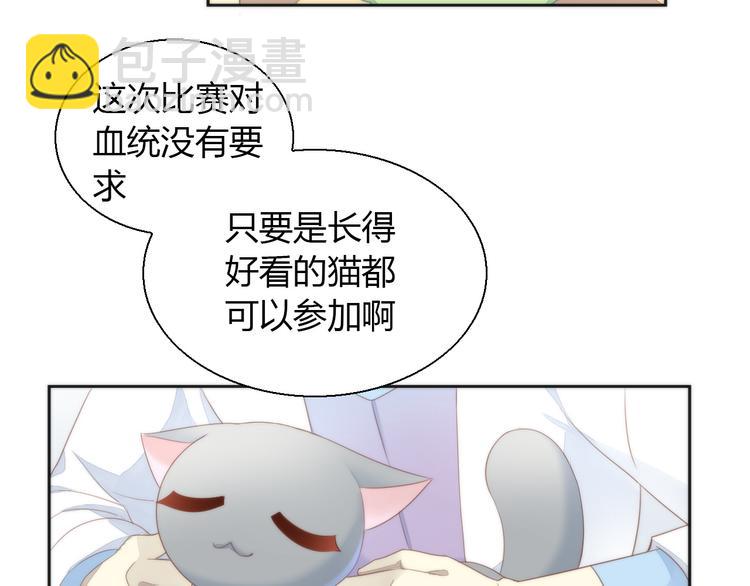 第76话 猫咪选美大赛9