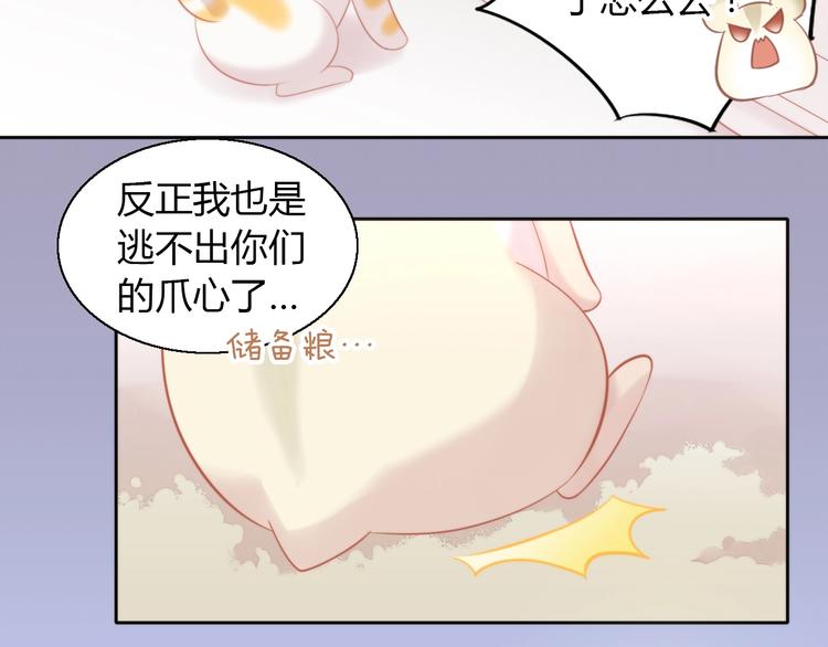 第108话 仓鼠也有梦想！81