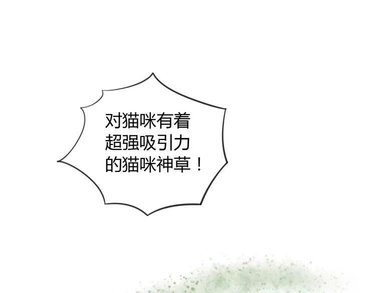 第12话  纸箱争夺战56