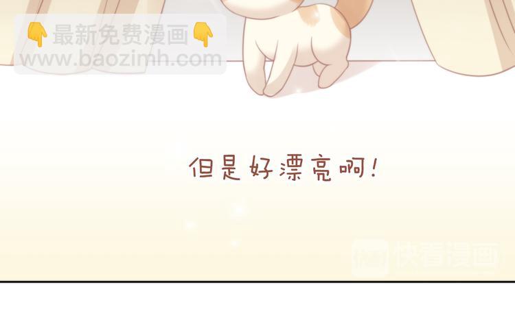 第78话 选美比赛86