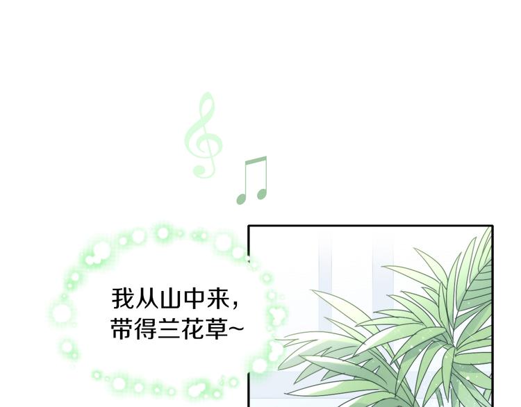 第166话 猫咪花园4