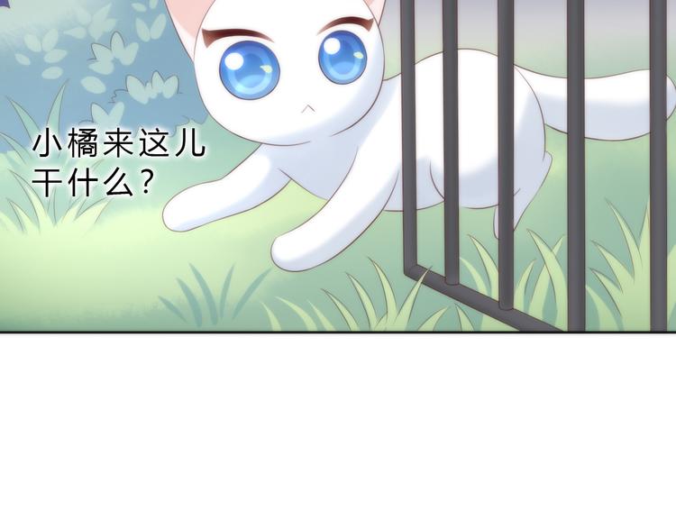 第63话 她的秘密60