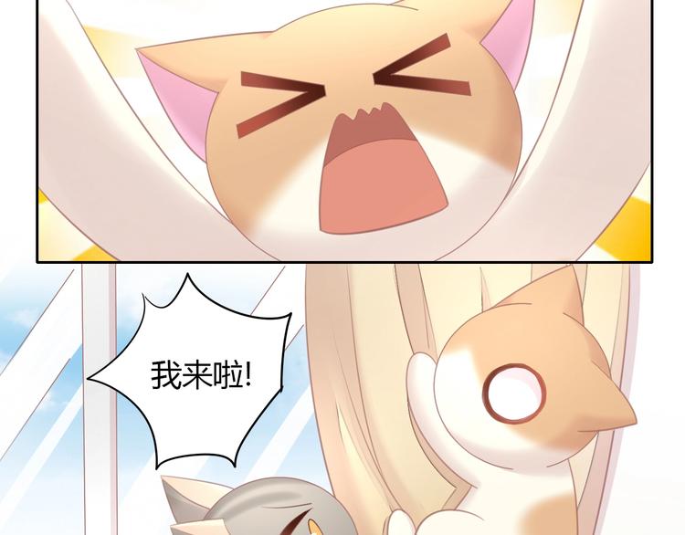 第128话 猫舍C位（四）10