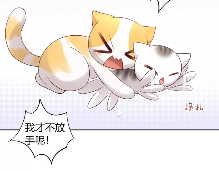 第44话 女王属性？45