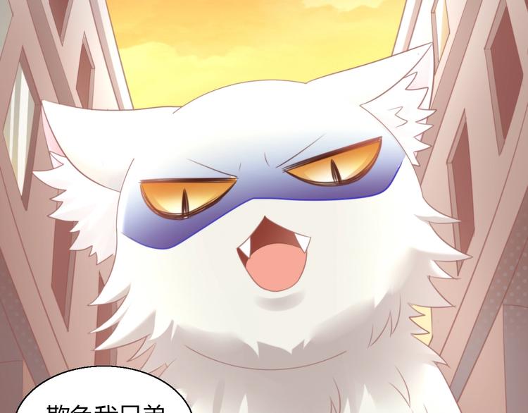 第125话 猫舍C位（一）83