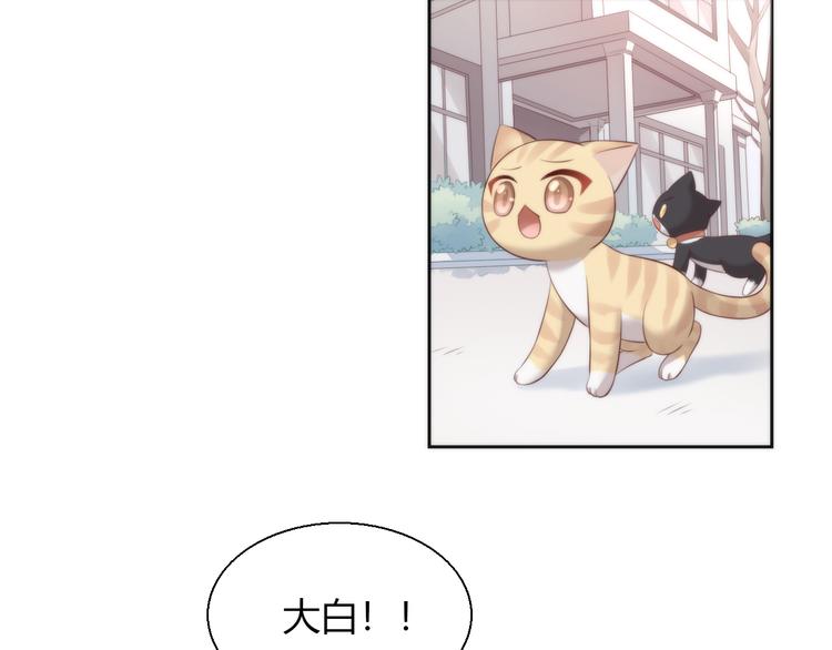 第68话 突发意外8