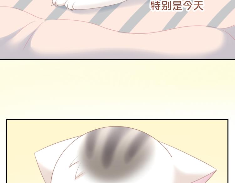 第85话 新伙伴？！8