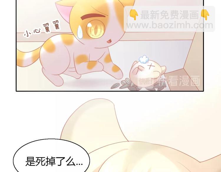 第107话  仓鼠式晕厥12