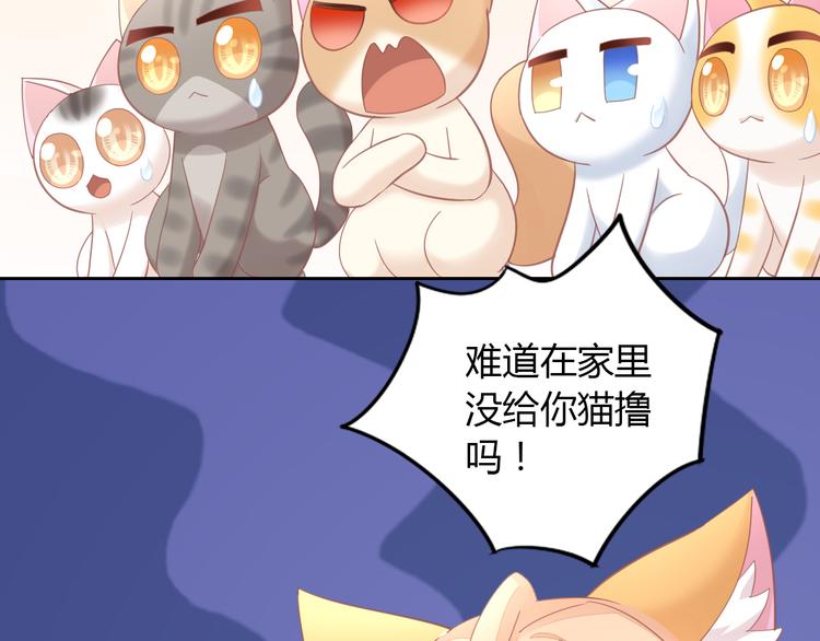 第136话 撸猫技师（四）17