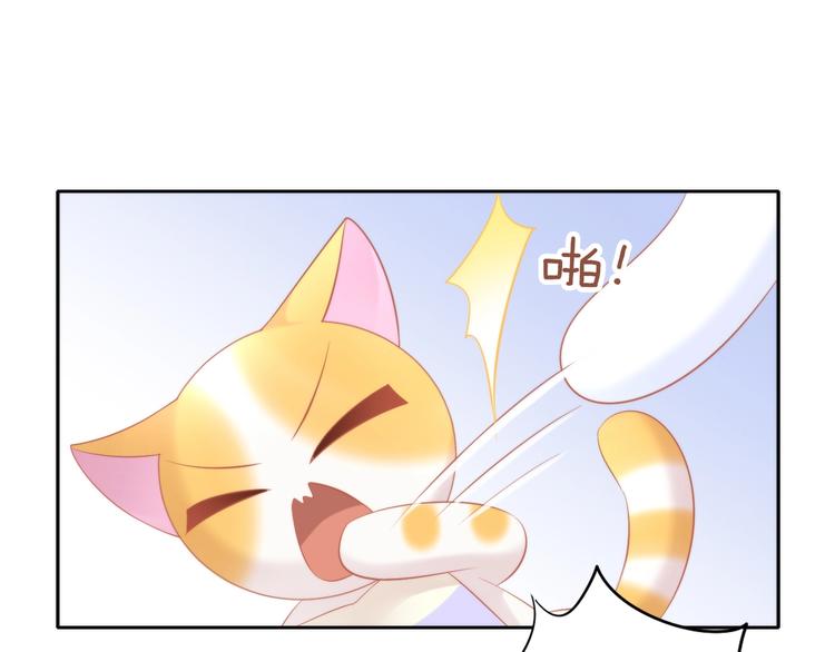 第106话 猫怕老鼠28