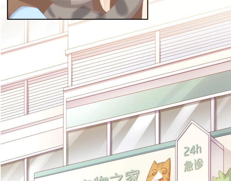 第126话 猫舍C位（二）8