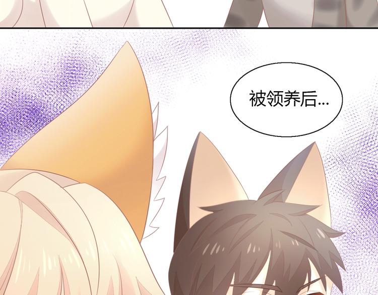 第130话 猫舍C位（六）33