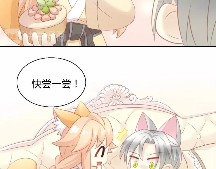 第127话 猫舍C位（三）49