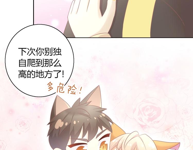 第128话 猫舍C位（四）12