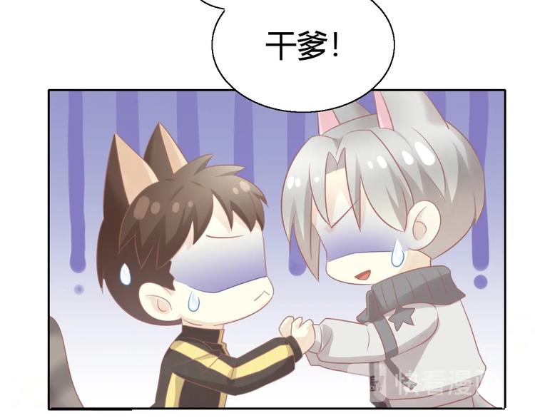 第130话 猫舍C位（六）85