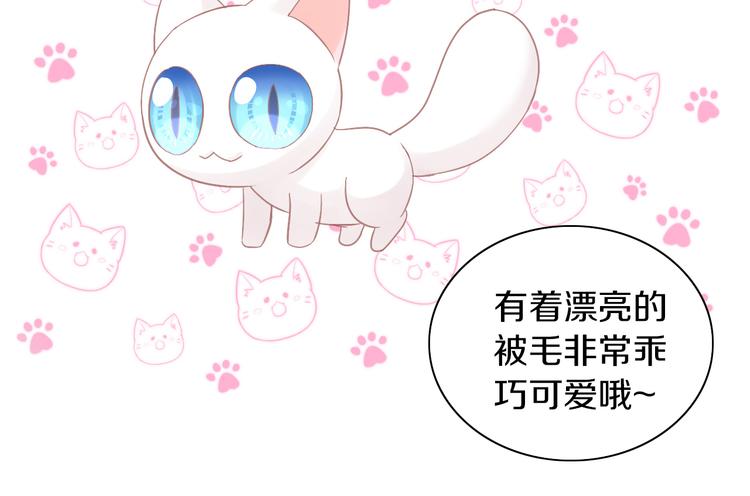 第181回  拿破仑27
